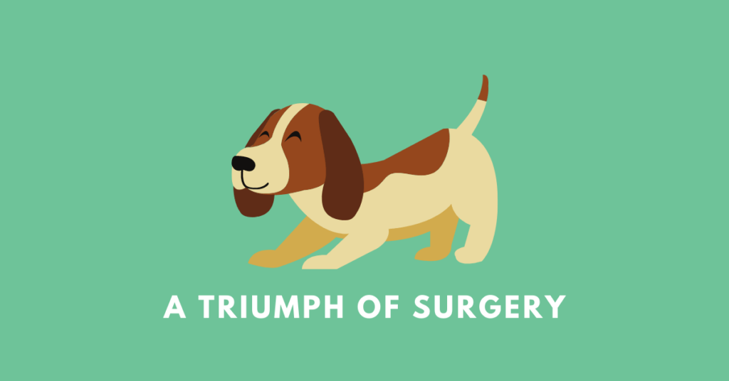 A Triumph of Surgery