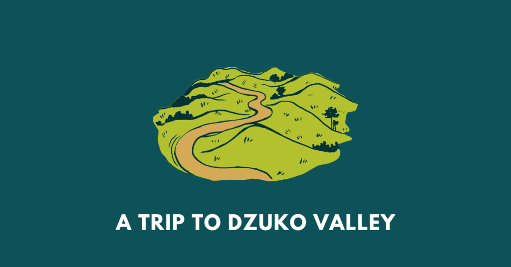A TRIP TO DZUKO valley