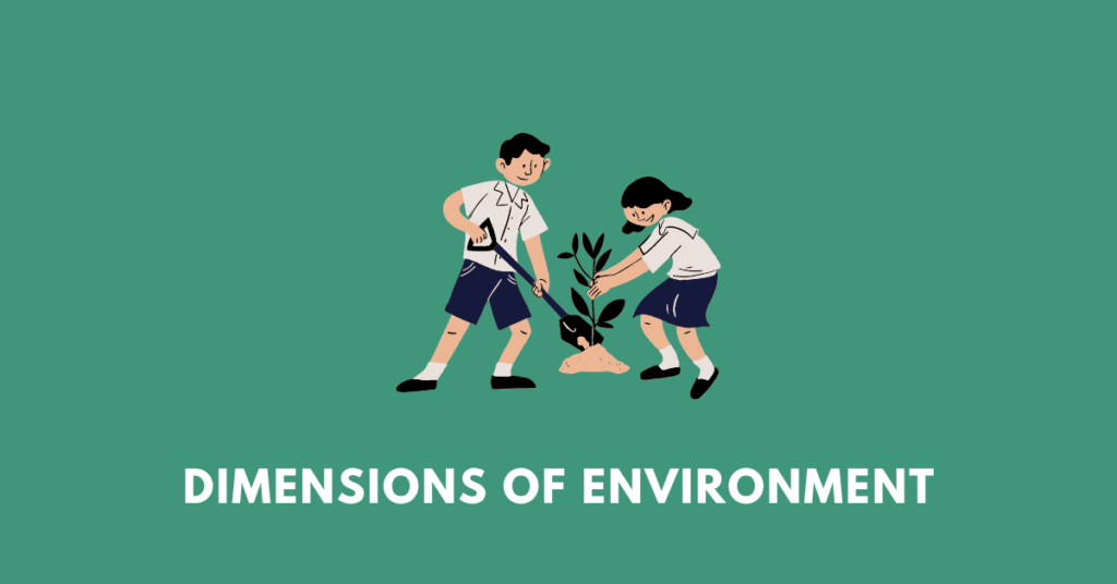 Dimensions of Environment nbse