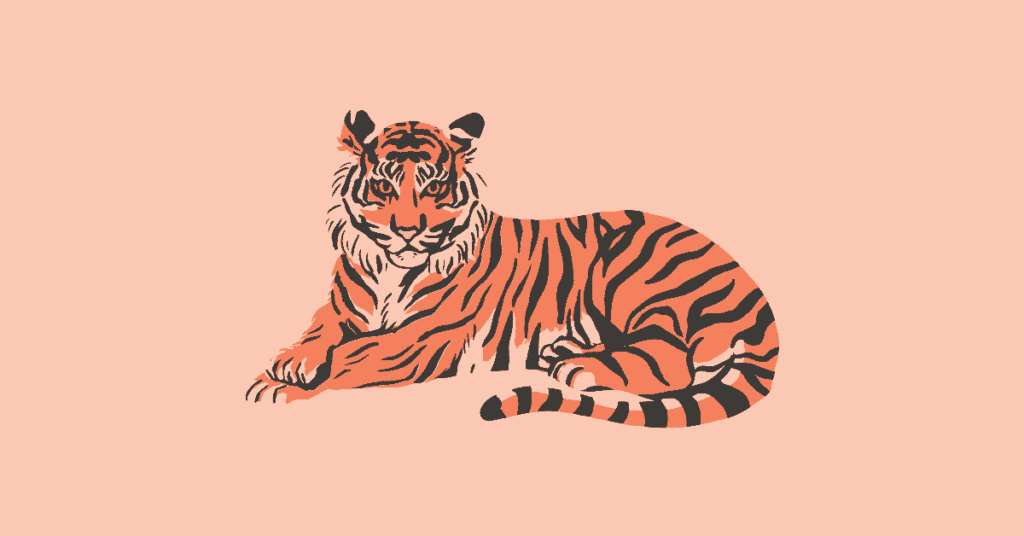 A Tiger in the Zoo