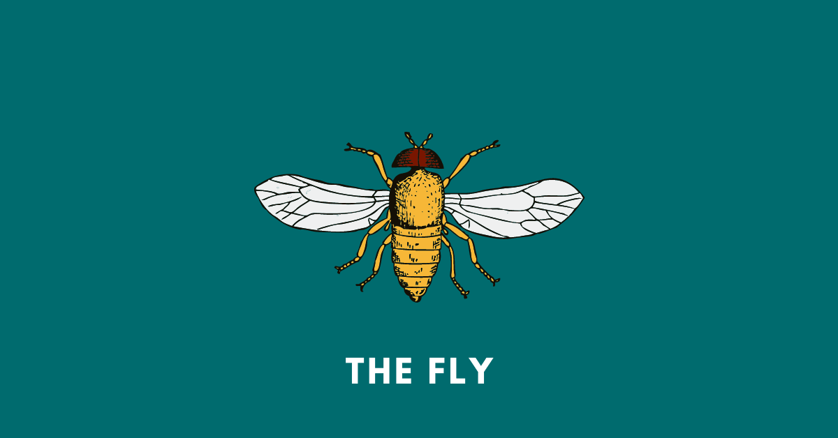 the fly katherine mansfield symbolism