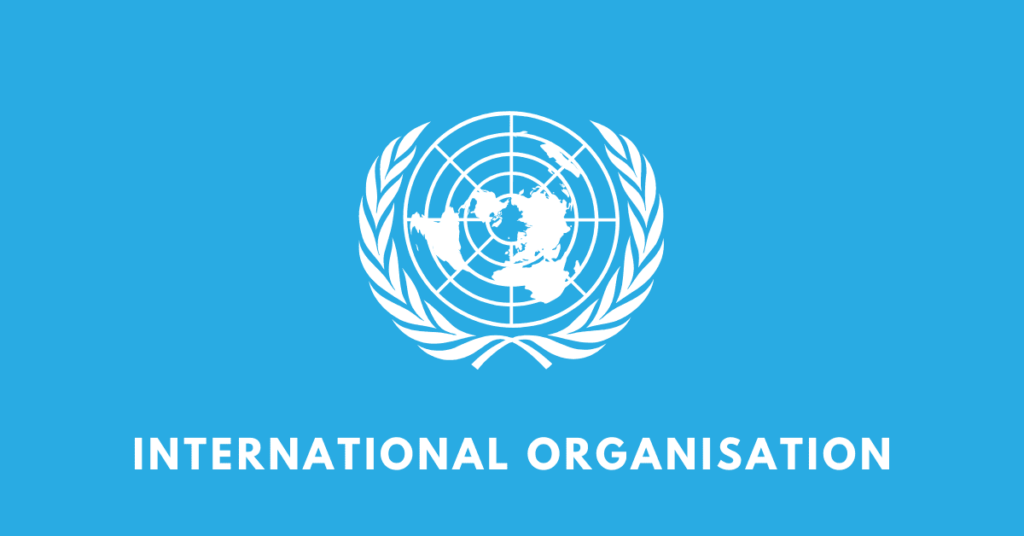 international organisation