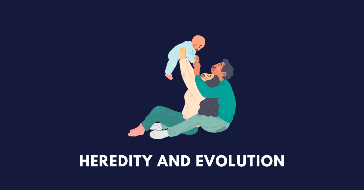 mother, father, and baby, illustrating the chapter Heredity and Evolution of Class 10 science