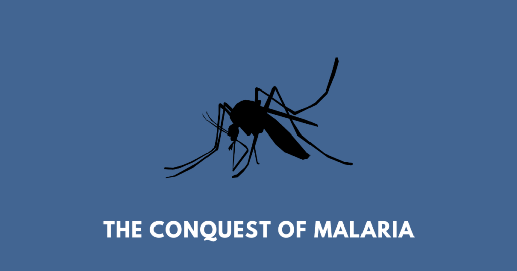 A mosquito, illustrating the story THE CONQUEST OF MALARIA