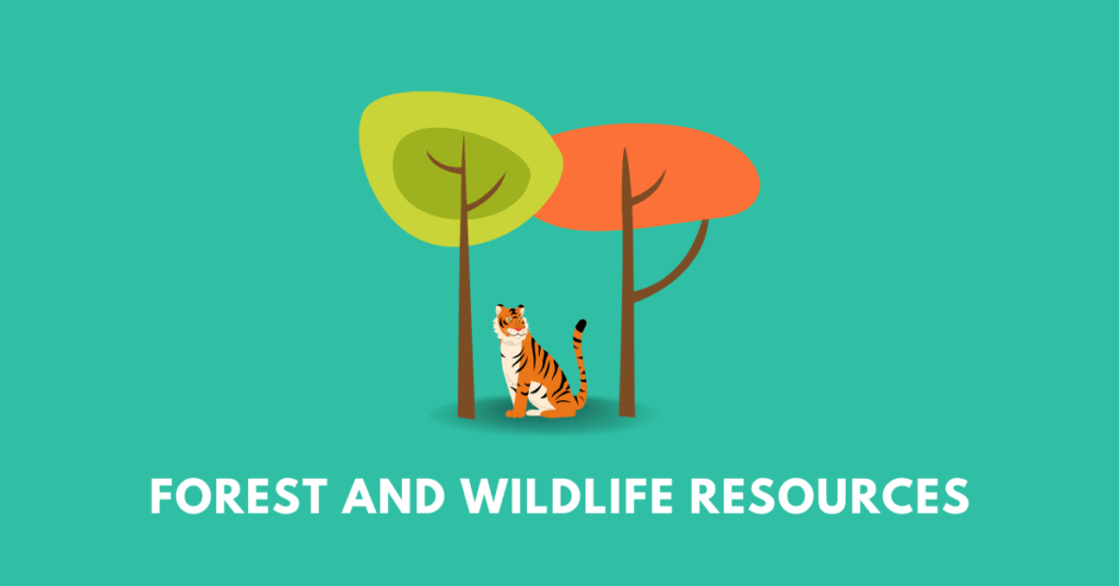 trees and tiger, illustrating the chapter Forest and Wildlife Resources