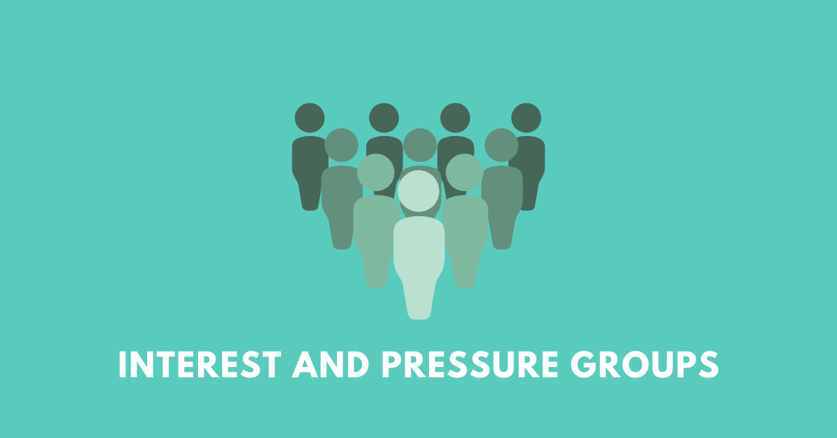 Interest and Pressure Groups nbse 12