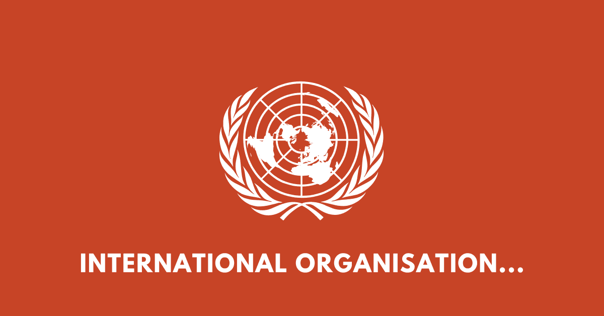 International Organisation in a Unipolar World