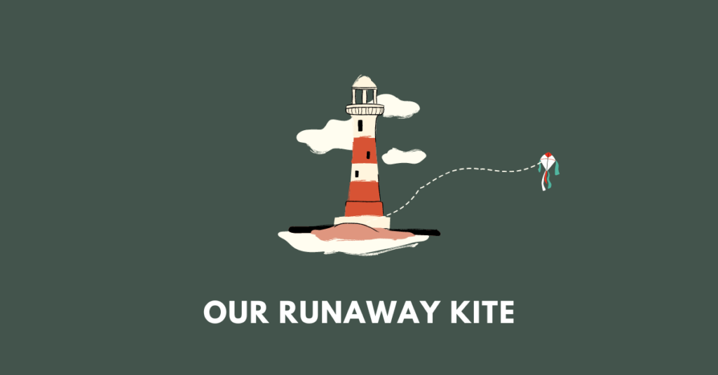 Our runaway kite wbbse 10