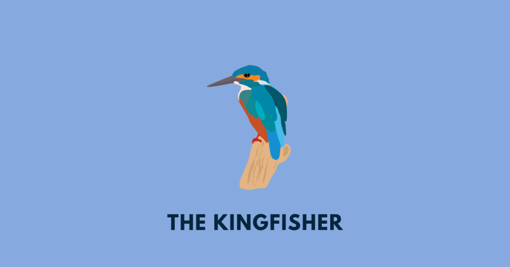 the kingfisher mbose