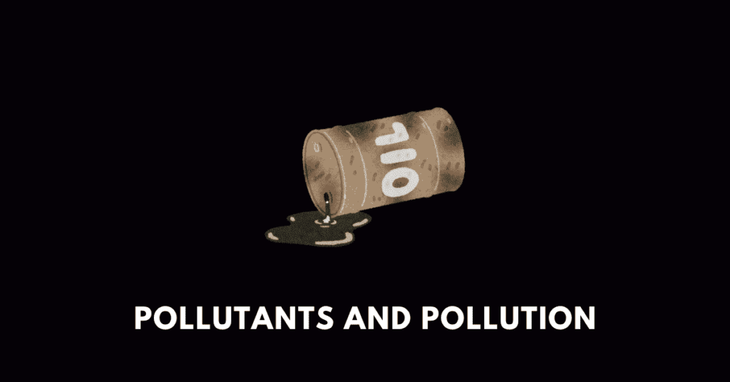 Pollutants and Pollution nbse