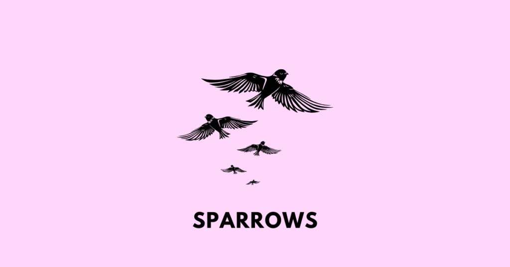 Sparrows MBOSE Class 11 Alternative English notes