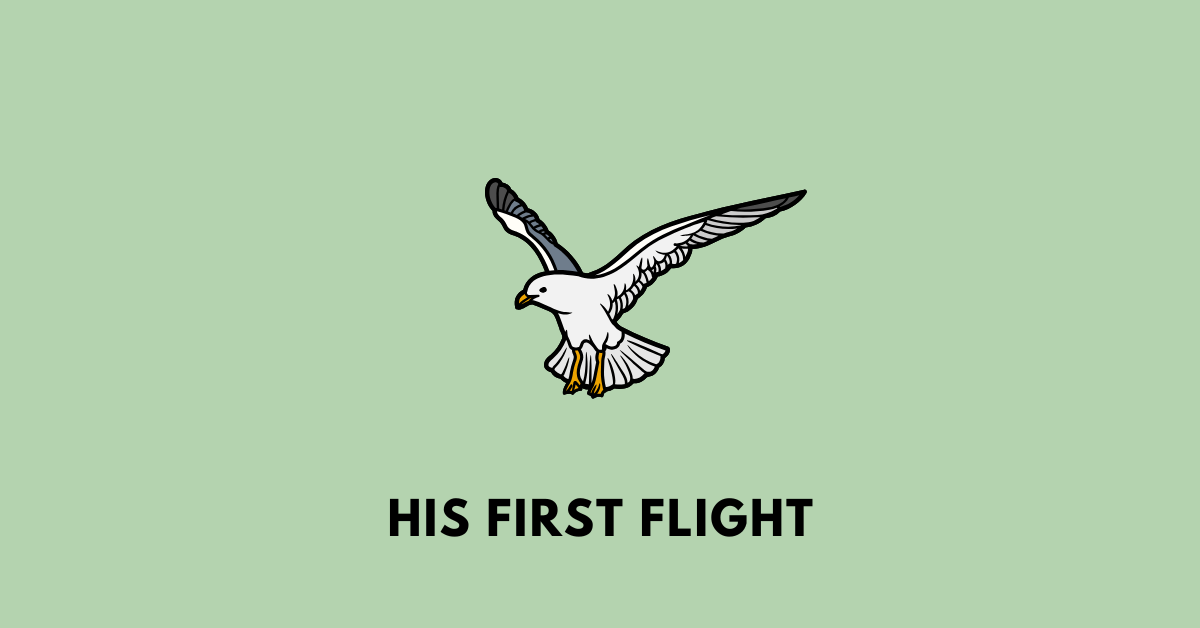 His First Flight wbbse